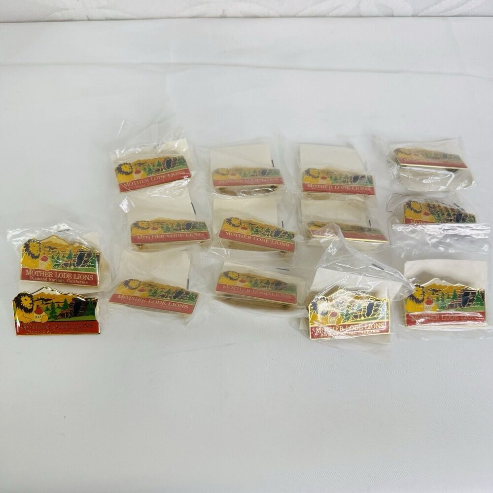 14 Diamond Springs El Dorado, CA Mother Lode Lions Club Pin Lot Moonshine Jug‎